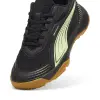 Puma Solarflash III Jr junior indoor shoes 107851-01