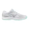 Mizuno CYCLONE SPEED 5 women's indoor shoes V1GC2580-45