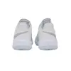 Nike ZOOM HYPERSPEED COURT SE indoor shoes DJ4476-102