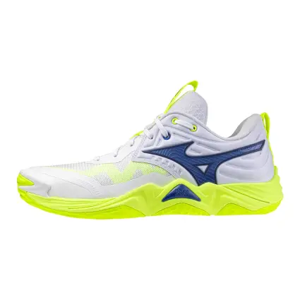 Mizuno Wave Momentum Elite обувки за зала V1GA2512-39