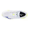 Mizuno Wave Lightning Pro indoor shoes V1GA2660-39