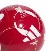 adidas Liverpool Mini football JY6165