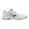 Mizuno Wave Lightning Pro indoor shoes V1GA2660-59
