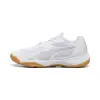 Puma Solarflash III дамски обувки за зала 108145-02