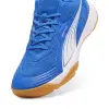 Puma Solarflash III indoor shoes 107850-03