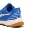 Puma Solarflash III indoor shoes 107850-03