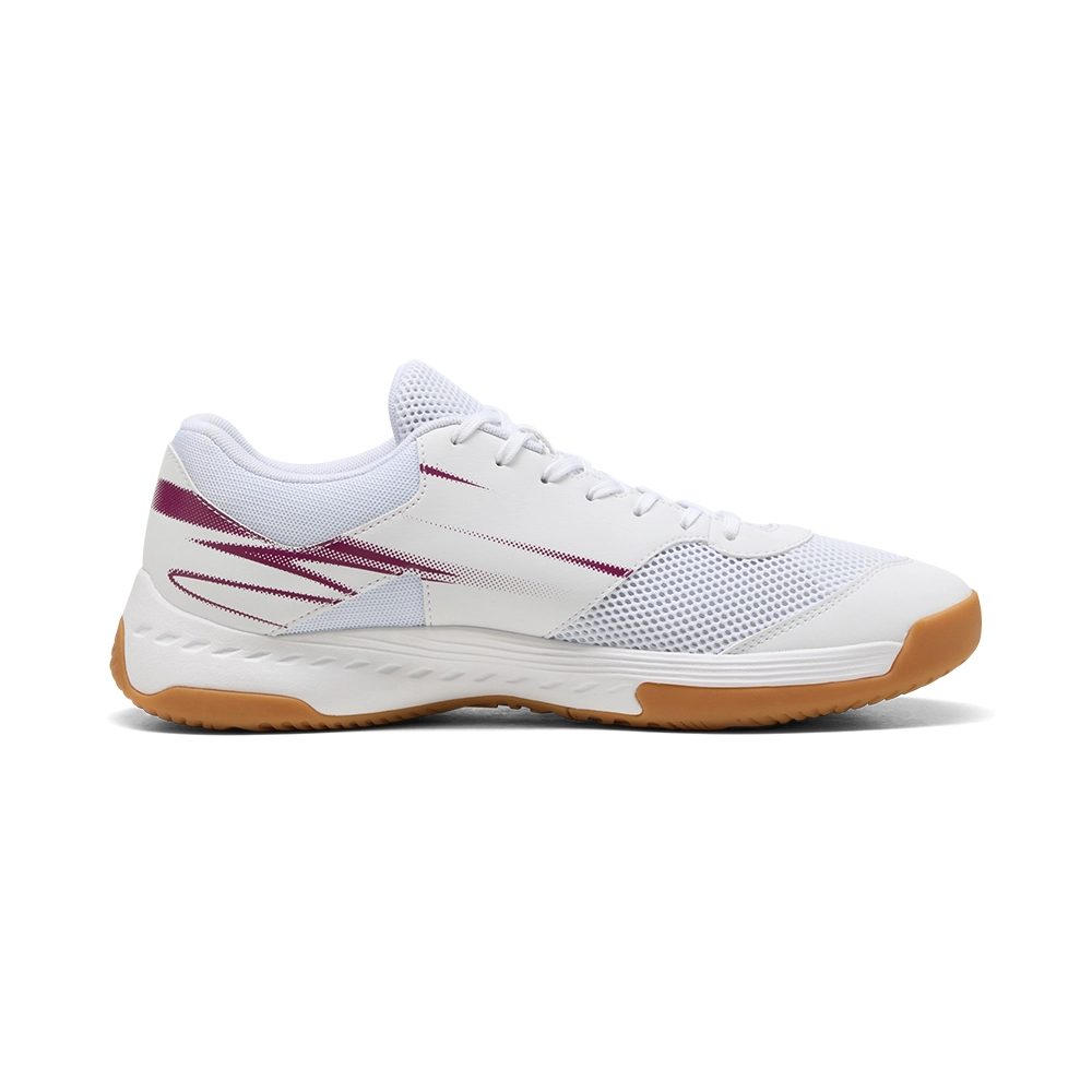 Puma Varion II indoor shoes 107341-12