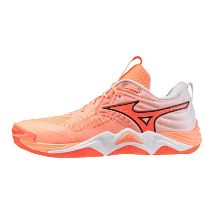 Mizuno WAVE MOMENTUM ELITE обувки за зала V1GA2512-80