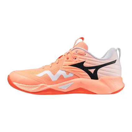 Mizuno WAVE MOMENTUM PRO обувки за зала V1GA2540-80