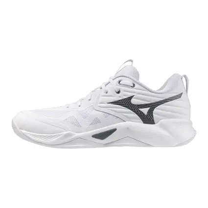 Mizuno WAVE MOMENTUM PRO indoor shoes V1GA2540-83