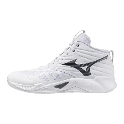 Mizuno WAVE MOMENTUM PRO MID indoor shoes V1GA2545-83