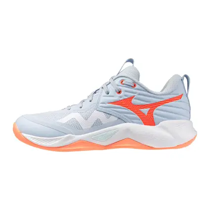 Mizuno WAVE MOMENTUM PRO women's indoor shoes V1GC2540-84