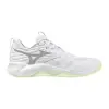 Mizuno WAVE MOMENTUM PRO women's indoor shoes V1GC2540-85