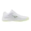 Mizuno LIGHTNING STAR Jr. indoor shoes V1GD2603-85
