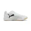 Puma Accelerate Turbo 5 indoor shoes 109017-02