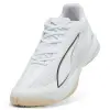 Puma Accelerate Turbo 5 indoor shoes 109017-02