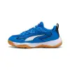 Puma Solarflash 4 детски обувки за зала 109095-01
