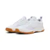 Puma Varion 3 indoor shoes 109096-04