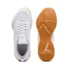 Puma Varion 3 обувки за зала 109096-04