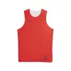 Puma Hoops Team Reverse Practice Jersey потник