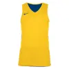 Nike TEAM BASKETBALL REVERSIBLE TANK top