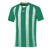 Mizuno Team Shimizu Game shirt