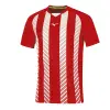 Mizuno Team Shimizu Game shirt