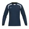 Mizuno LS shirt
