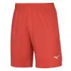 Mizuno Trad Shukyu къси панталони