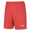 Mizuno High-Kyu shorts