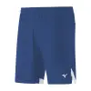 Mizuno Premium Game shorts