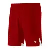 Mizuno Premium Game shorts