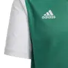 Adidas ESTRO 19 junior tshirt
