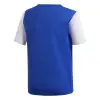 Adidas ESTRO 19 детска тениска