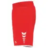 Erima WINGS Shorts without inner slip