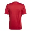 Adidas Campeon 25 Match jersey