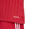 Adidas Campeon 25 Match jersey