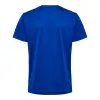 hummel HMLAUTHENTIC PL JERSEY S/S детска тениска