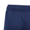 Adidas TIRO24 TRSHO youth training short