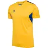 hummel HMLAUTHENTIC PL JERSEY S/S