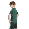 Adidas TIRO25 Competition junior jersey