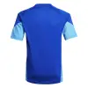 Adidas TIRO25 Competition junior jersey