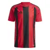 Adidas STRIPED 24 Match jersey
