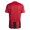 Adidas STRIPED 24 Match тениска