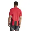 Adidas STRIPED 24 Match jersey