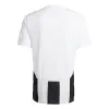 Adidas STRIPED 24 Match jersey