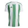 Adidas STRIPED 24 Match jersey