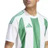 Adidas STRIPED 24 Match jersey
