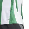 Adidas STRIPED 24 Match jersey