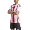 Adidas STRIPED 24 Match jersey